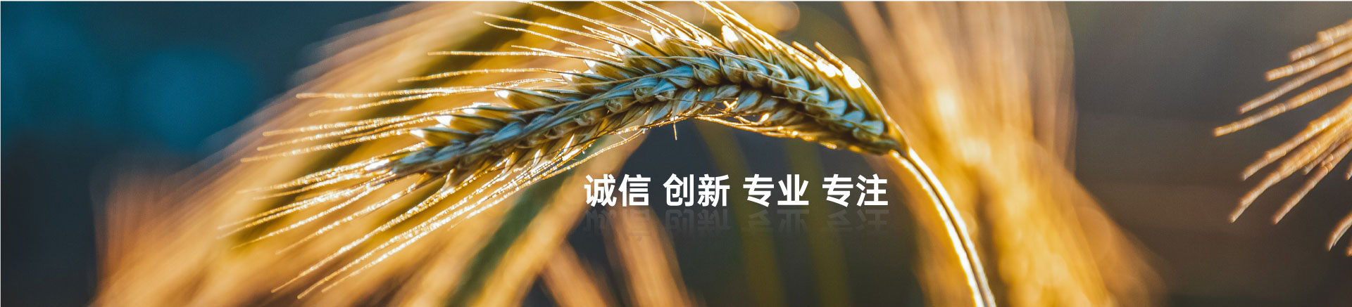 顧客至上，信譽第一